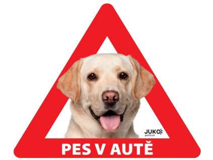 Kutya autóban matrica kültéri GOLDEN LABRADOR