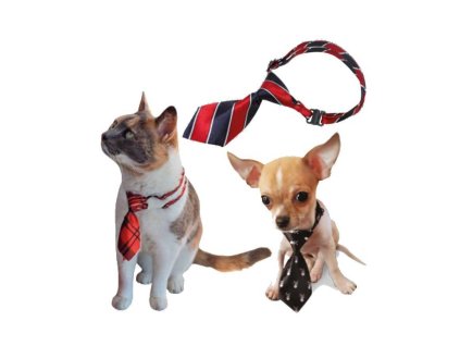 597292d36a5f49cff895b2d14c39463e