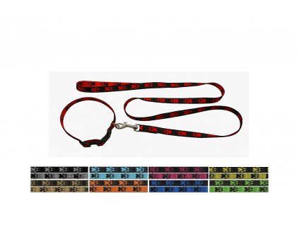 Leash and collar width 16 mm