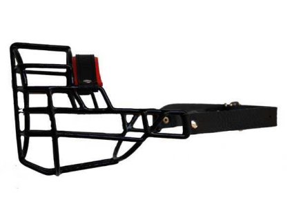 Muzzle black/metal English Bull Terrier - dog