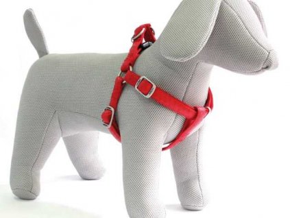 Hám Mylord piros 2,5x60-100 cm