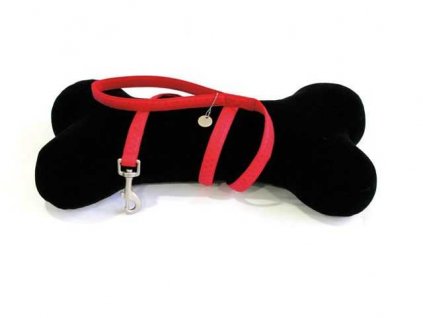 Leash Mylord red 1.5 x 120 cm