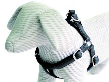 Geschirr Mylord schwarz 1,5x35-60 cm