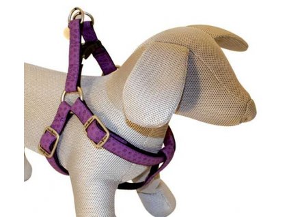 Geschirr Mylord lila 1,5x35-60 cm