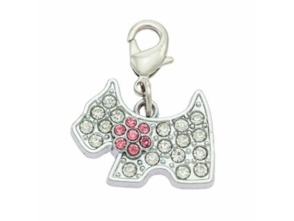 bf792dc41be370f80a2eb60b843dcc2a