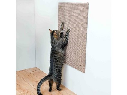 cb879193cc16a31297eacac663d1051a