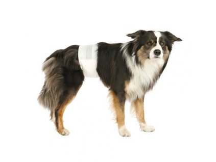 Papírové pleny pro psy (12 ks/bal.) (Velikost papírových plen pro psy L-XL: pas: 60-80 cm)