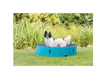 Bazén pro psy, tyrkysová/šedá (Velikost bazénu pro psy ø 80 x 20 cm)