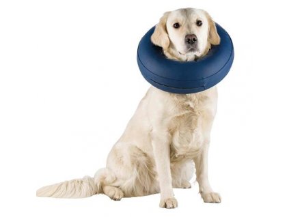 Protective inflatable collar against licking and biting wounds