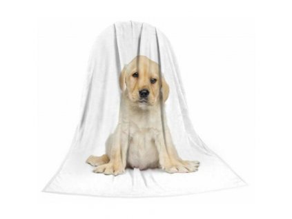 Blanket TEXSTAR microfiber 280g 150 x 200 cm, puppy
