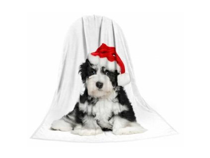 Blanket TEXSTAR microfiber 280g 150 x 200 cm, Christmas puppy