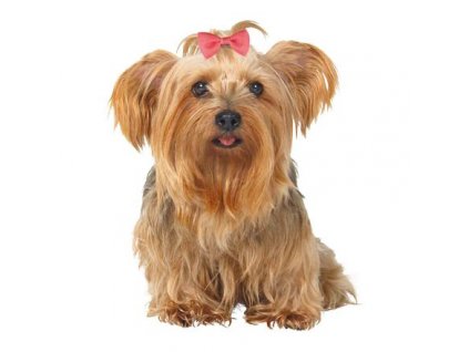 3b3d2ad5d0f05626d7c432a1513f2878