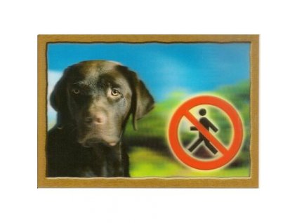 3D kutyacímke, labrador retriever (barna)