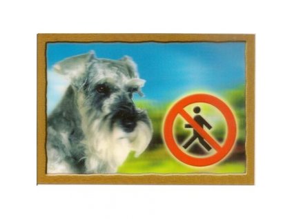 3D PSI jel, Schnauzer bors és só