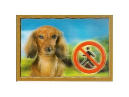 a6666f577297643dc58c4d4a5cb55512