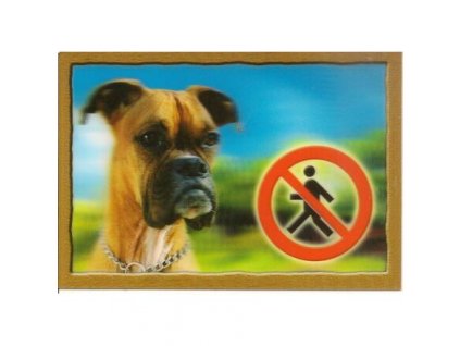 3D kutyacímke, boxer