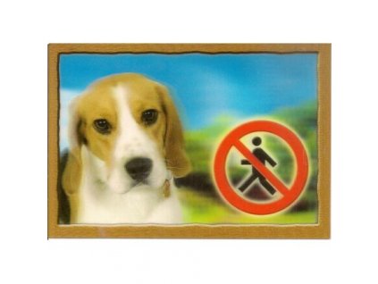 3D Dog Tag, Beagle
