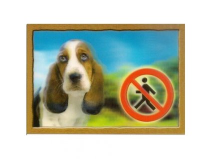 3D Dog Tag, Basset Hound