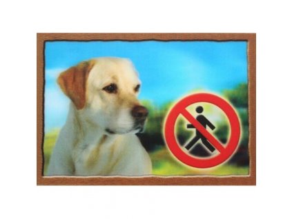 3D kutyacímke, Golden Retriever
