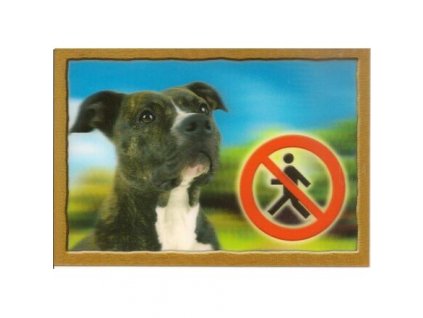 3D Dog Tag, Staffordshire Terrier