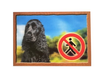 02ed6d85949efb77cc37c33464157458