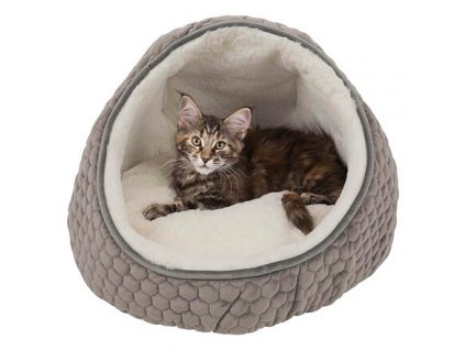 579b6d8cee7c8b5fa8c46473331f4d7e