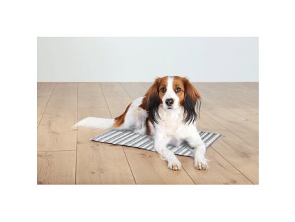 Cooling pad for animals, striped, white/grey