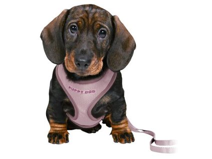 Ham cu lesa JUNIOR SOFT pentru catelusi, liliac