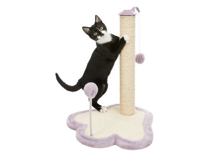JUNIOR scratching post paw with ball on spring and rubber band 40 x 38 cm