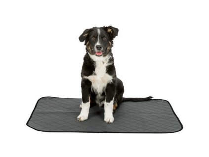 Puppy mat, washable, gray