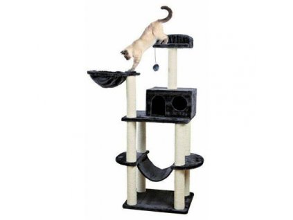 d68e31f749e44c1d7804b2f379bc5b36