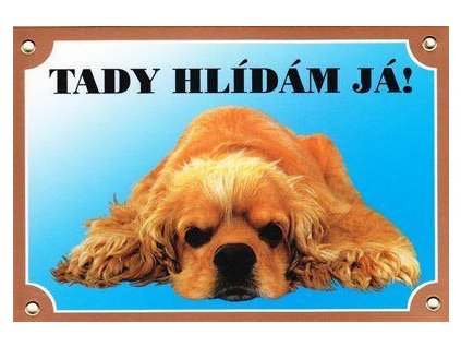Colorful sign Beware dog, American Cocker Spaniel lying down
