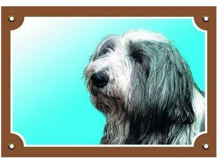 Color sign Beware dog, Bearded Collie