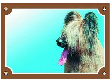 Color sign Beware dog, light Briard
