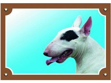 Color sign Caution dog, Bullterrier female