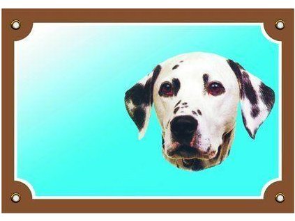 Colorful sign Beware of dog, Dalmatian
