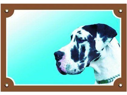 Colorful sign Beware of dog, Great Dane harlequin