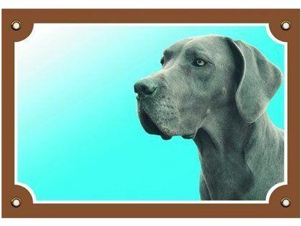 Color sign Beware dog, Great Dane blue