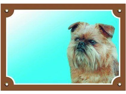 Colorful sign Beware of dog, Brussels Griffon