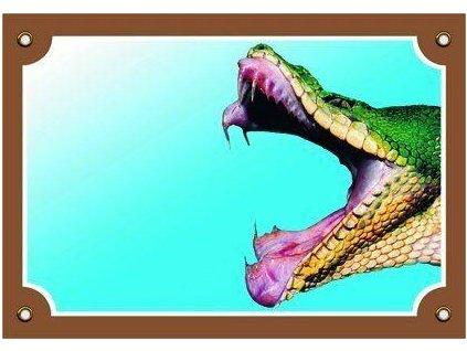 Colorful sign Beware of dog, Snake mouth