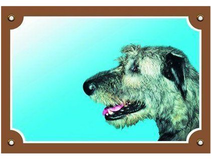 Colorful sign Beware of dog, Irish Wolfhound