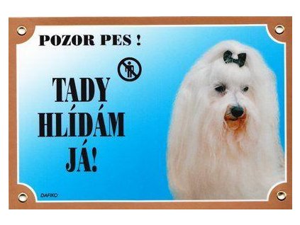 Colorful sign Beware of dog, Maltese Pinscher