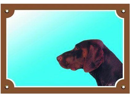 Barevná cedulka Pozor pes, Německý ohař hnědý