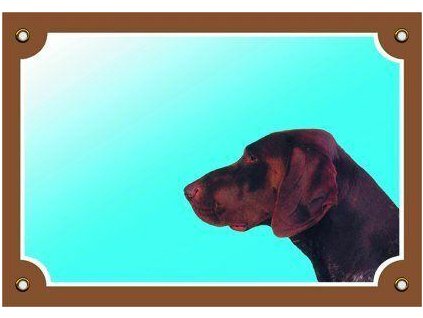 Color sign Beware dog, German Shepherd brown