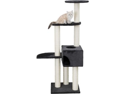 bf0436cd00abc7ca7d34e8c54e8c8e7b