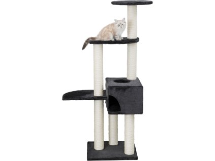 32cb80d0bfdeb4565ef3fd953fdf9918