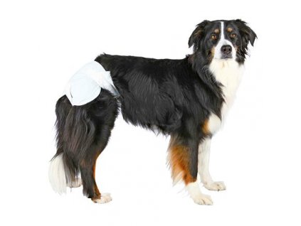Papírové pleny pro feny (12 ks/bal.) (Velikost papírových plen pro feny XS-S: pas: 20-28 cm)