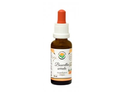 Boswellia serrata - Frankincense AF tincture