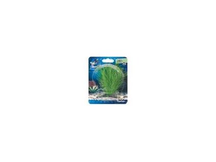Plantă de mătase Congo Flamingo 9 cm
