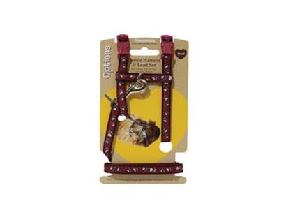 Harness nylon with leash, paws/mix b. Rosewood small